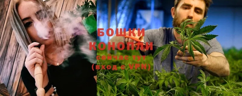 Конопля OG Kush  Ковылкино 